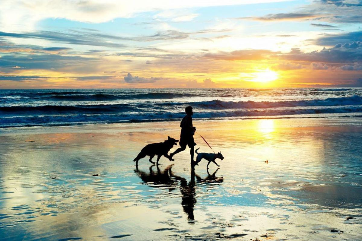 Banjaard Beachhouse Patrijzenlaan 16 Kamperland Ngoại thất bức ảnh